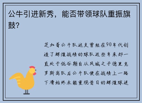 公牛引进新秀，能否带领球队重振旗鼓？