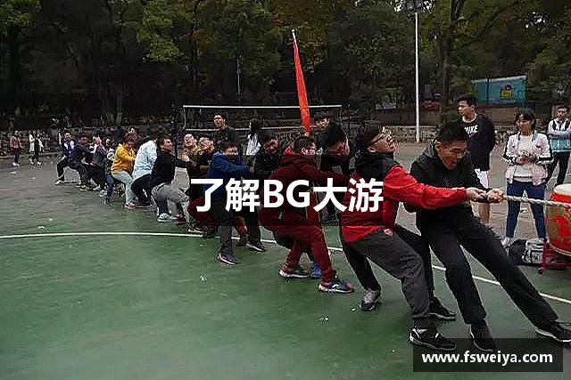了解BG大游